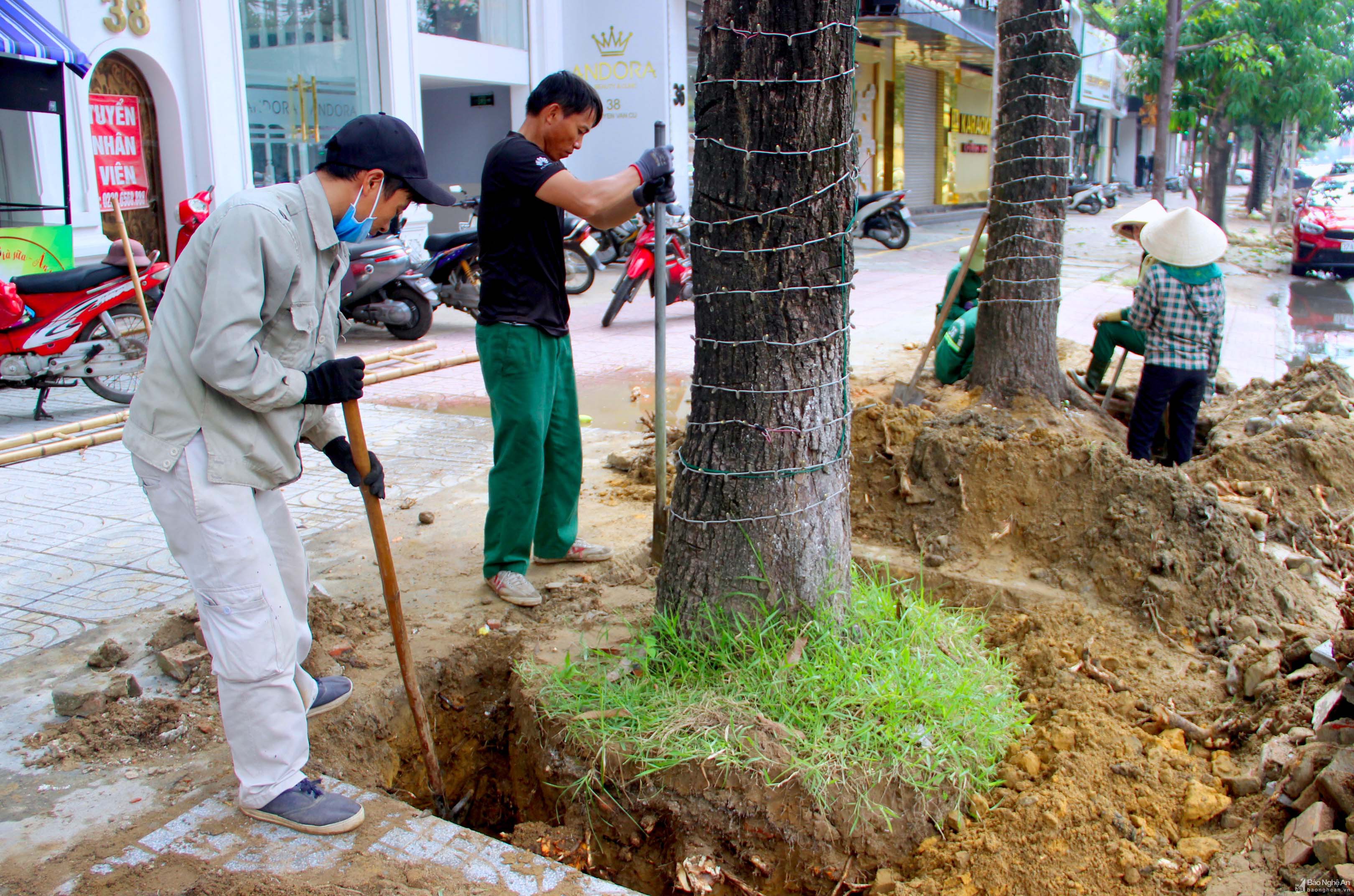 Đồng phục bảo hộ của công nhân cây xanh phải đảm bảo các tiêu chí về độ an toàn và chất lượng